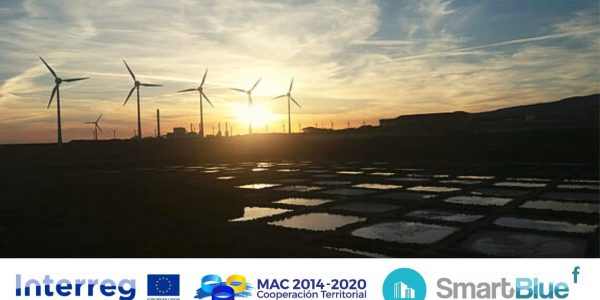 Parque eólico | Foto: ARCHIVO