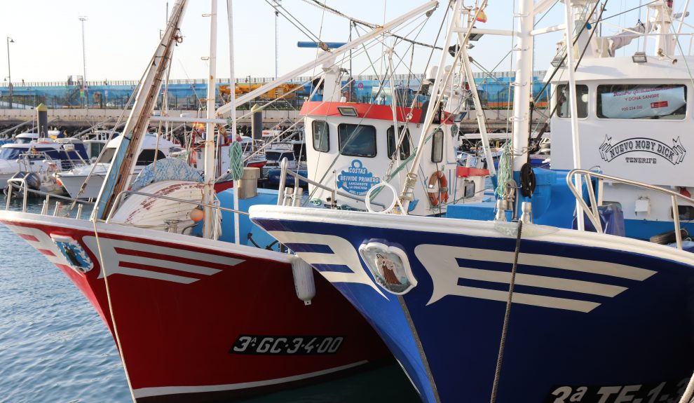 Flota pesquera | Foto: CONSEJERÍA AGRICULTURA, GANADERÍA, PESCA Y AGUAS DE CANARIAS