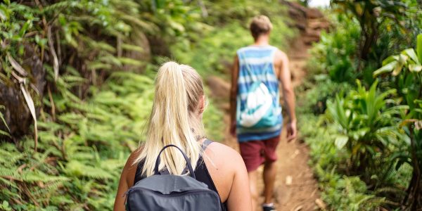 Senderistas | Foto: ASOCIACIÓN DE PROFESIONALES Y EMPRESAS DE TURISMO ACTIVO DE CANARIAS