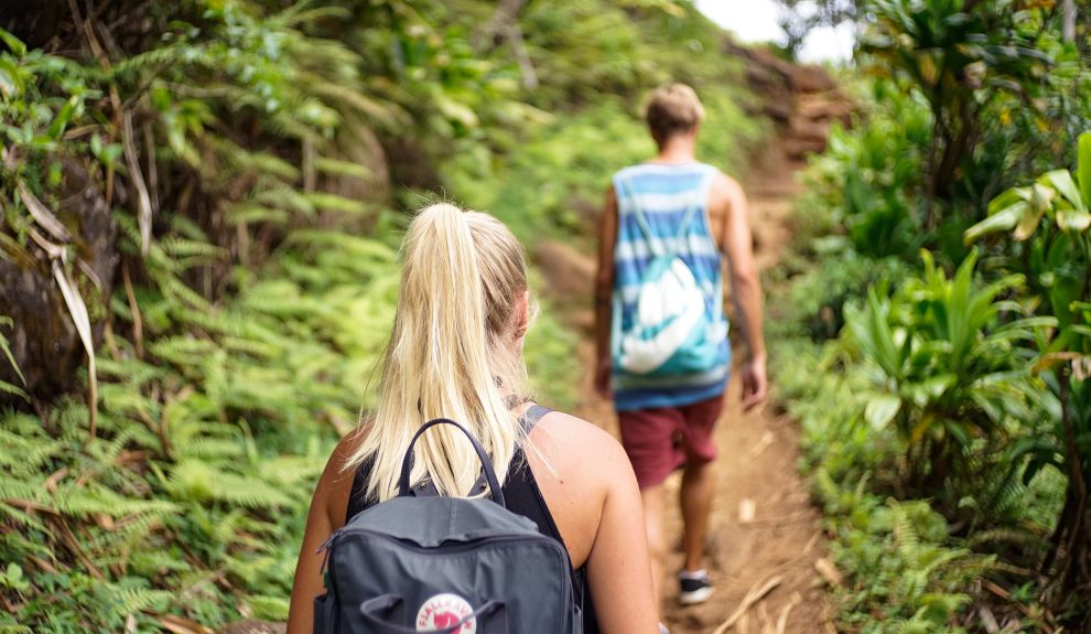 Senderistas | Foto: ASOCIACIÓN DE PROFESIONALES Y EMPRESAS DE TURISMO ACTIVO DE CANARIAS