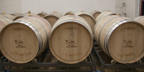 Sala de barricas de la Bodega Presas Ocampo | Foto: BODEGAS OCAMPO