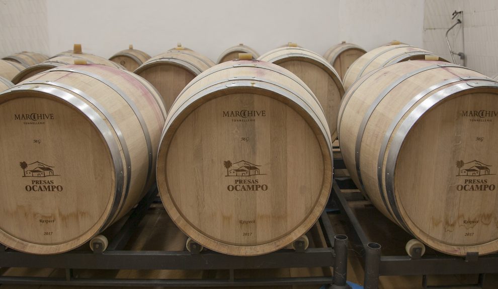 Sala de barricas de la Bodega Presas Ocampo | Foto: BODEGAS OCAMPO