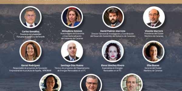 Jornada virtual Día de los Océanos | Foto: CLÚSTER MARINO MARÍTIMO DE CANARIAS