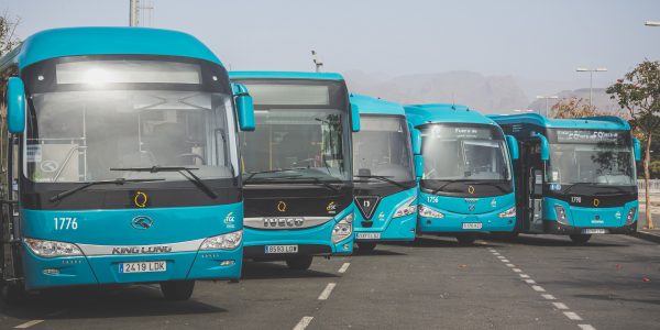 Guaguas de Global | Foto: GLOBAL