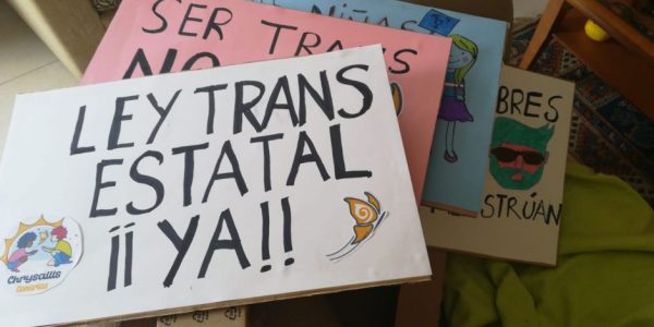 Carteles Ley Trans Estatal | Foto: CHRYSALLIS