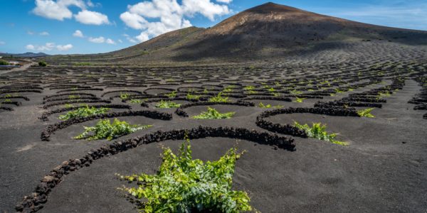 La Gería | Foto: CONSEJERÍA DE TURISMO DE LANZAROTE