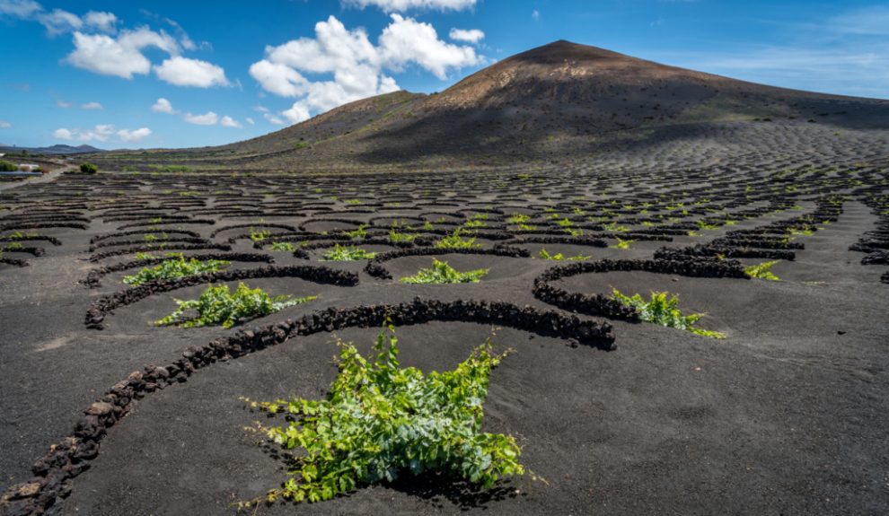 La Gería | Foto: CONSEJERÍA DE TURISMO DE LANZAROTE