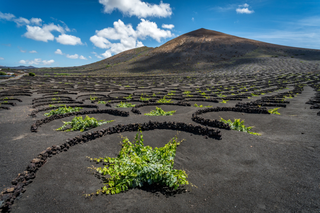 La Gería | Foto: CONSEJERÍA DE TURISMO DE LANZAROTE La Gería | Foto: CONSEJERÍA DE TURISMO DE LANZAROTE
