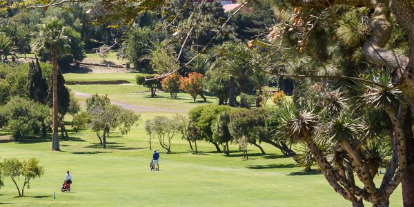 Golfistas paseando por un campo de golf | Foto: HOLA GOLF