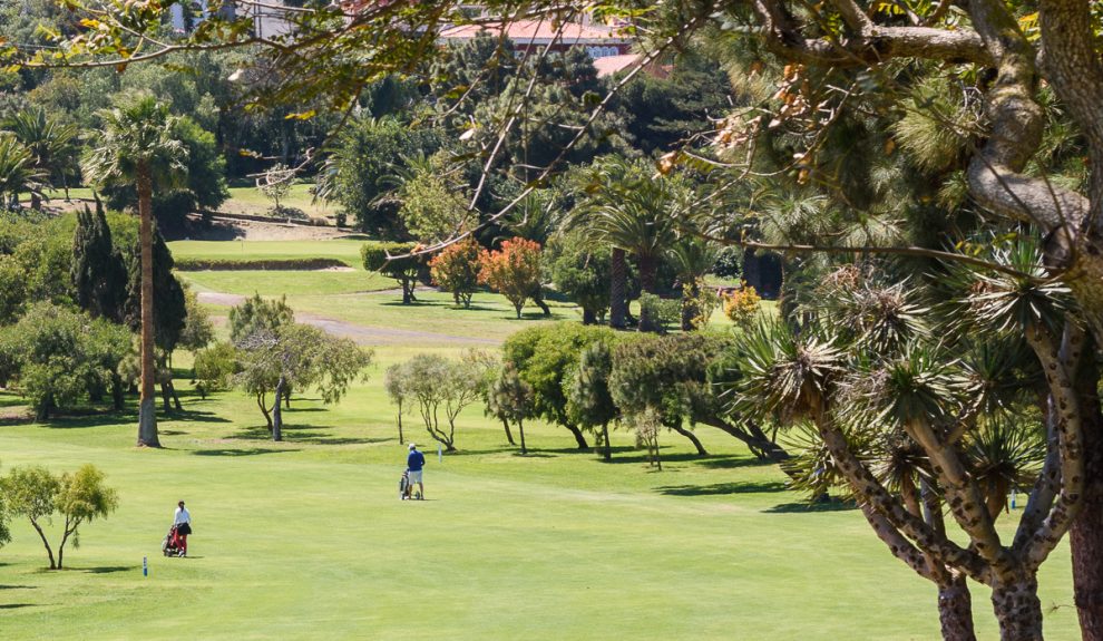 Golfistas paseando por un campo de golf | Foto: HOLA GOLF