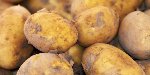 Papas | Foto: Pixabay