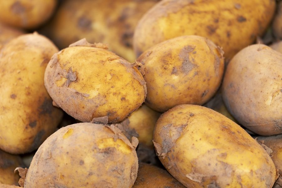 Papas | Foto: PIXABAY Papas | Foto: PIXABAY