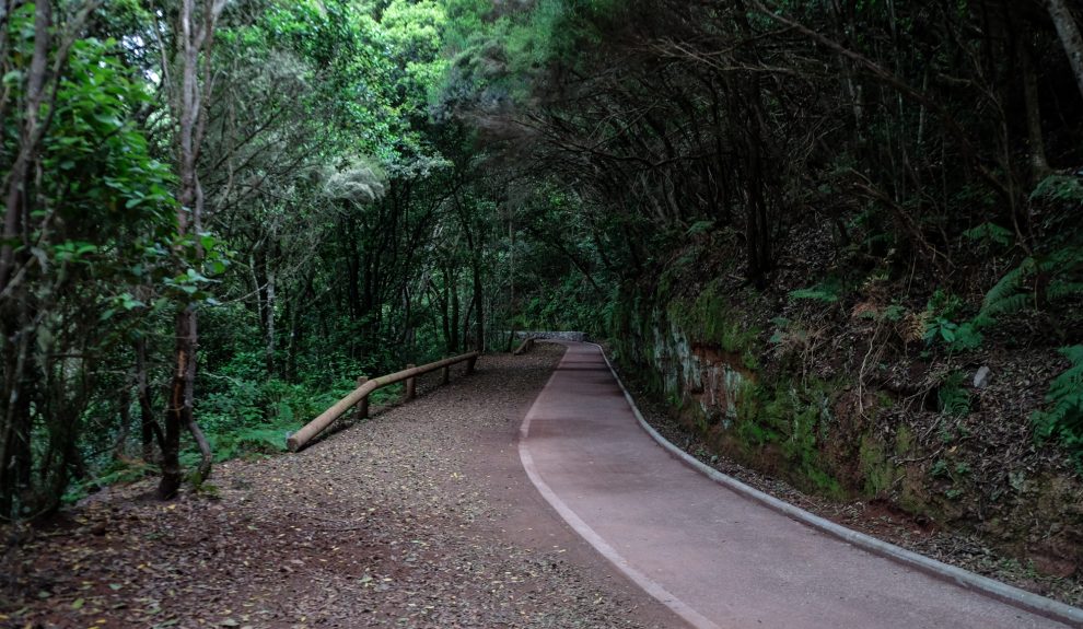 Sendero en La Laguna | Foto: AYUNTAMIENTO DE LA LAGUNA