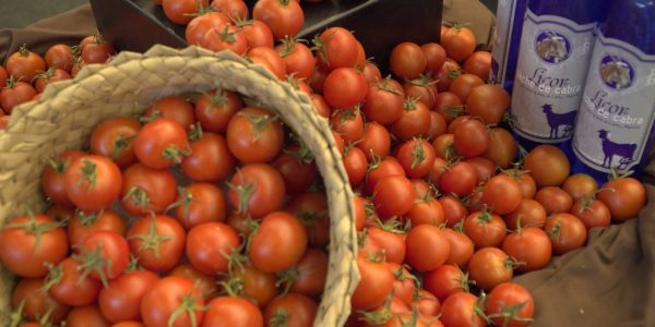 Tomates canarios | Foto: CONSEJERÍA DE AGRICULTURA, GANADERÍA, PESCA Y AGUAS DEL GOBIERNO DE CANARIAS