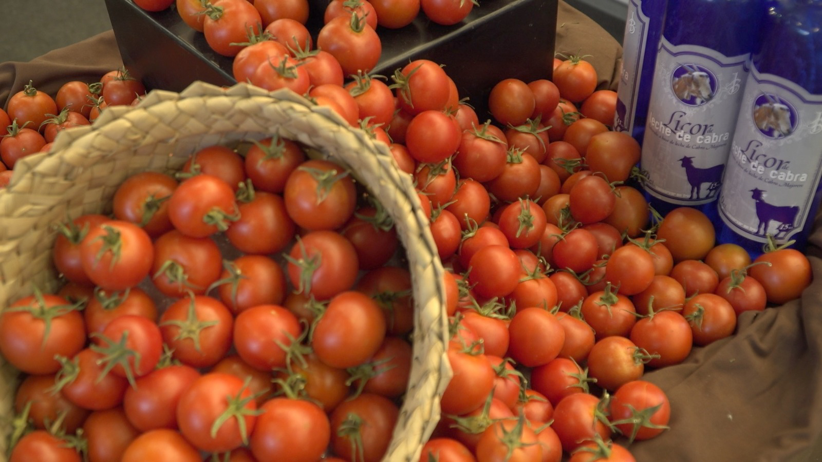 Tomates canarios | Foto: CONSEJERÍA DE AGRICULTURA, GANADERÍA, PESCA Y AGUAS DEL GOBIERNO DE CANARIAS Tomates canarios | Foto: CONSEJERÍA DE AGRICULTURA, GANADERÍA, PESCA Y AGUAS DEL GOBIERNO DE CANARIAS