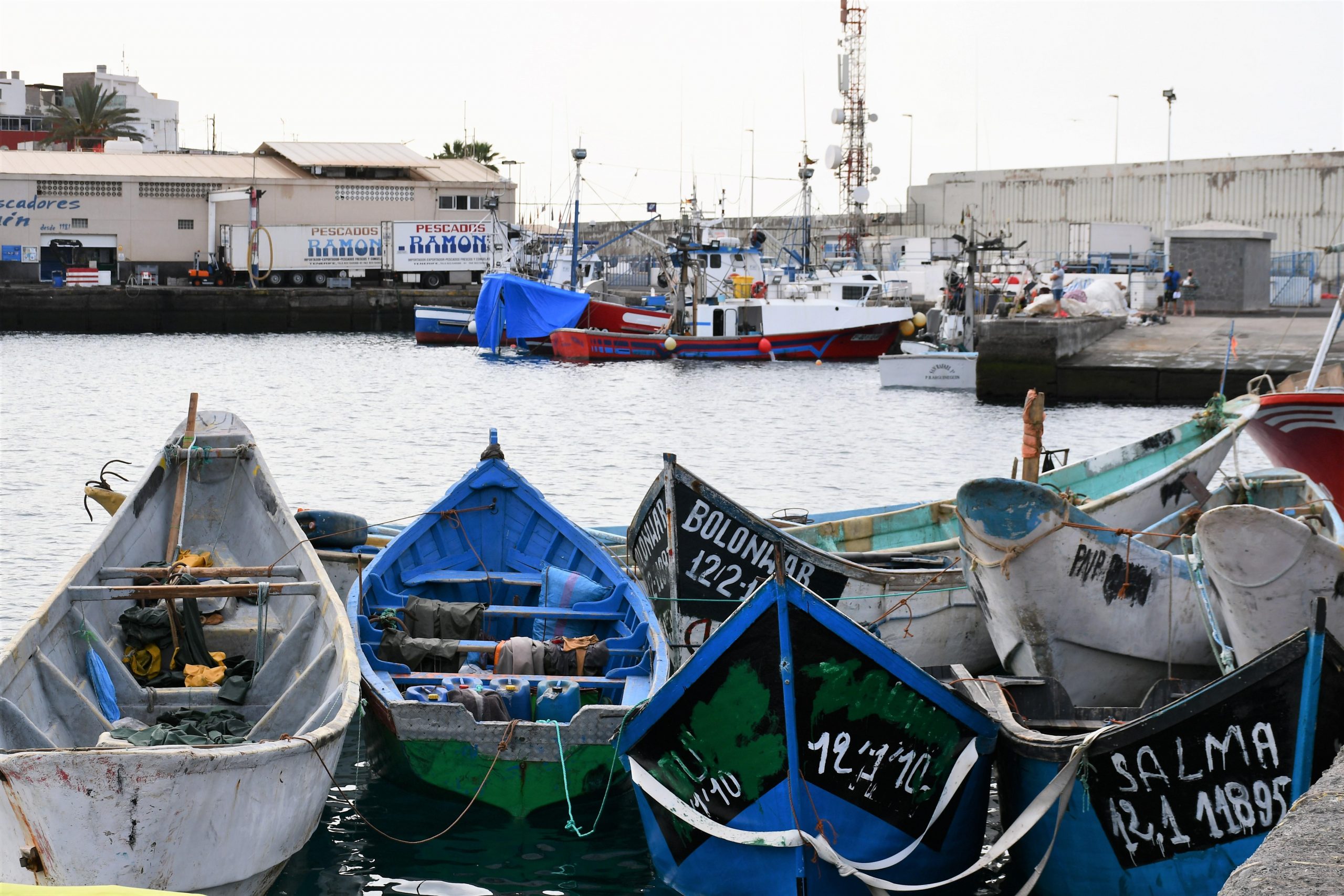 Pateras acumuladas en el Muelle de Arguineguín | Foto: Ayuntamiento de Mogán