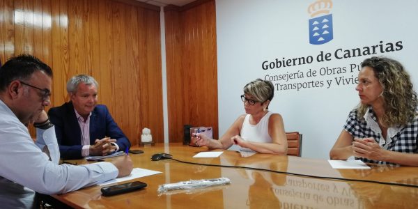 Reunión de los representantes del sector para el Plan de Vivienda de Canarias (Salud Gil en el centro de la imagen) | Foto: CONSEJERÍA OPTV DEL GOBIERNO DE CANARIAS