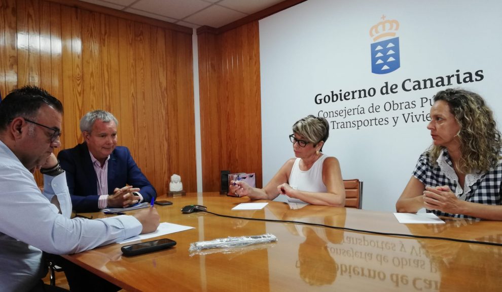 Reunión de los representantes del sector para el Plan de Vivienda de Canarias (Salud Gil en el centro de la imagen) | Foto: CONSEJERÍA OPTV DEL GOBIERNO DE CANARIAS