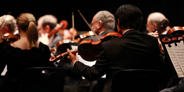 Intérpretes de una orquesta
