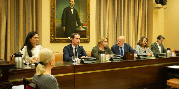 Meri Pita en la Comisión de Investigación del Accidente de Spanair | Foto: ARCHIVO