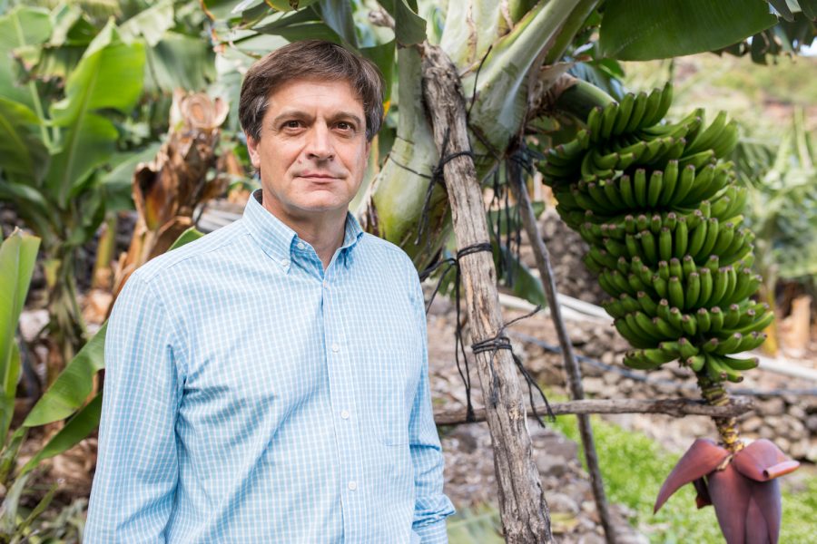 Domingo Martín | ASPROCAN Domingo Martín | ASPROCAN