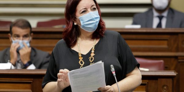Manuela Armas en el Parlamento de Canarias el pasado diciembre | GOBIERNO DE CANARIAS