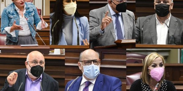 De arriba abajo y de izquierda a derecha, Nayra Alemán (PSOE), Vidina Espino (C's), Casimiro Curbelo (ASG), Luis Campos (NC), Manuel Marrero (Sí Podemos), José Miguel Barragán (CC) y Australia Navarro (PP)