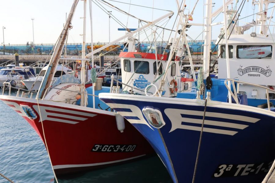 Barcos de pesca en puerto canario | CONSEJERÍA DE AGRICULTURA, GANADERÍA Y PESCA DEL GOBIERNO DE CANARIAS