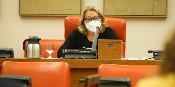 Meri Pita presidiendo la comisión de investigación del accidente del vuelo JK5022 de Spanair el pasado diciembre | CONGRESO DE LOS DIPUTADOS