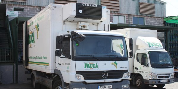 Camiones de la empresa | DISFRUCA