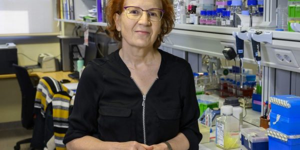 Margarita del Val | CSIC