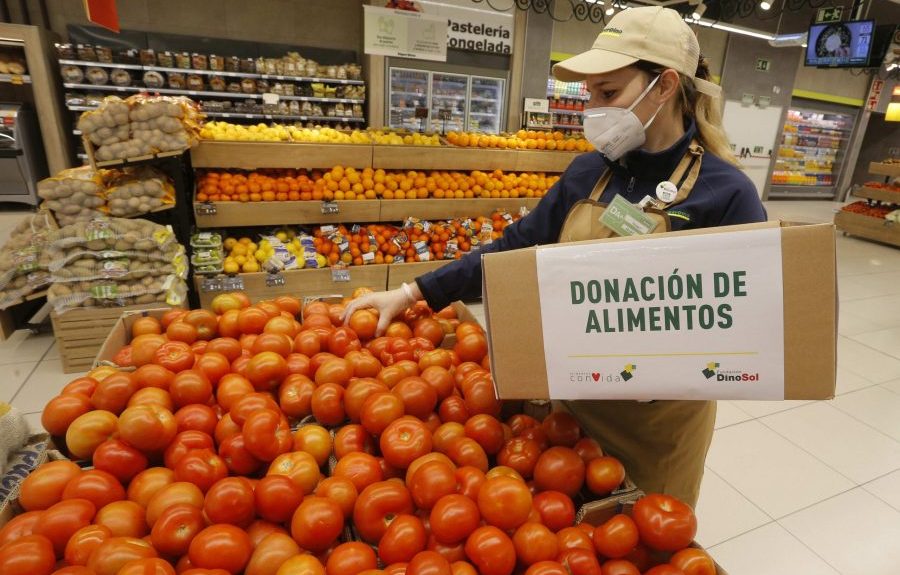 Trabajadora selecciona tomates para donar | FUNDACIÓN DINOSOL
