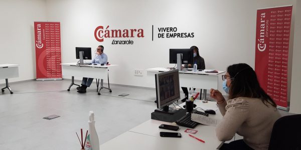 Trabajadores en la sede | CÁMARA DE COMERCIO DE LANZAROTE Y LA GRACIOSA