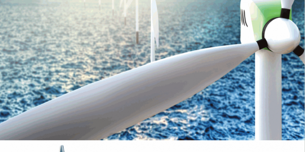 webinar sobre la energía eólica offshore | Imagen: Fedeport