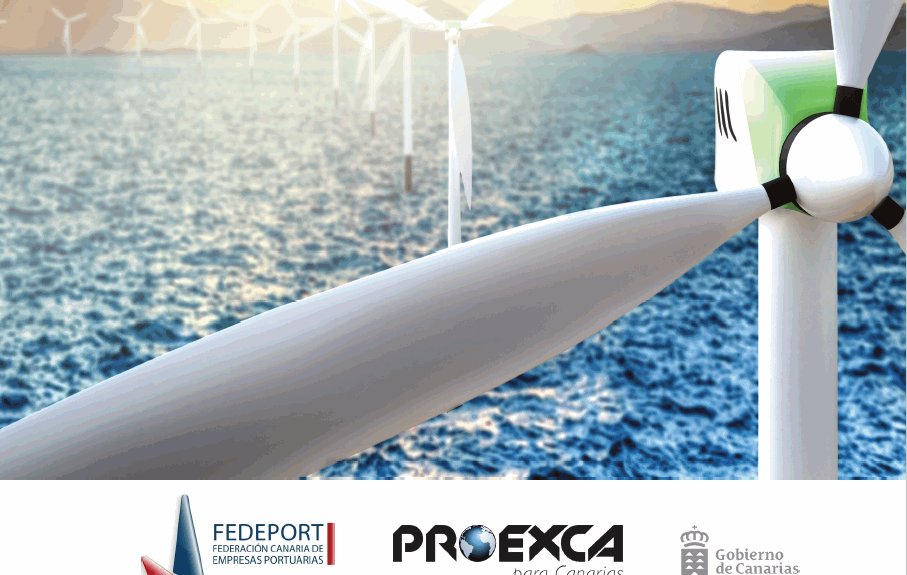 webinar sobre la energía eólica offshore | Imagen: Fedeport