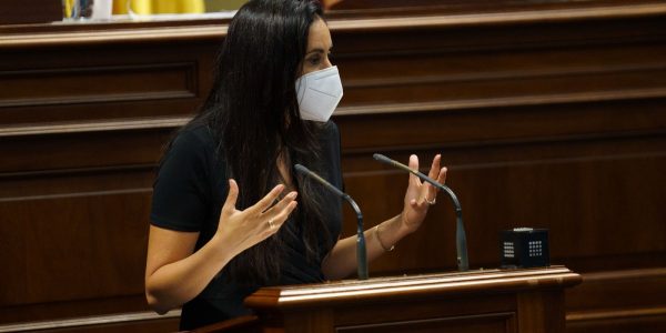 La diputada Vidina Espino en el atril del Parlamento de Canarias: Foto: Grupo Mixto