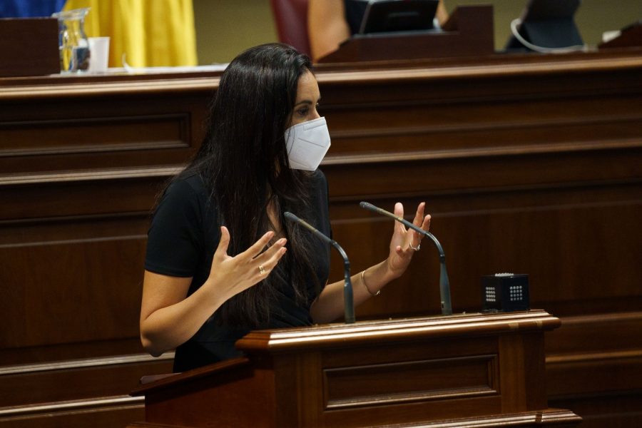 La diputada Vidina Espino en el atril del Parlamento de Canarias: Foto: Grupo Mixto La diputada Vidina Espino en el atril del Parlamento de Canarias: Foto: Grupo Mixto