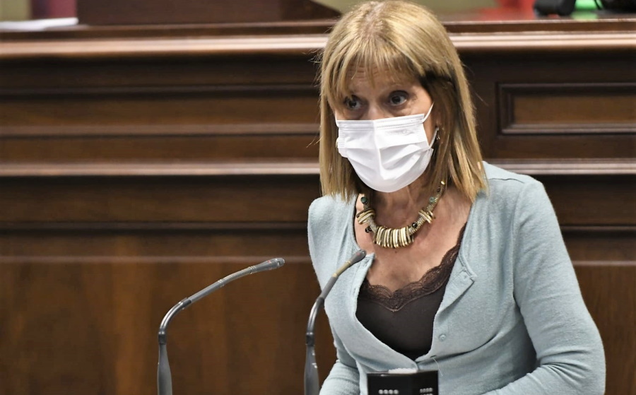 Esther González en una sesión parlamentaria | Foto: Nueva Canarias