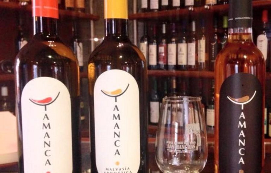 Vinos de las bodegas Tamanca