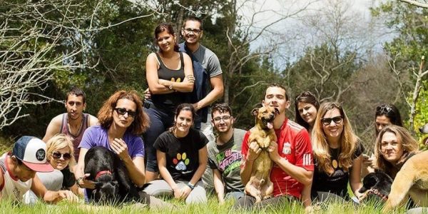 Miembros de la federación canaria de asociaciones de protectoras de animales y plantas