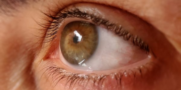 En estos días se celebra la Semana Mundial del Glaucoma | Foto: Borrón y Cuenta Nueva