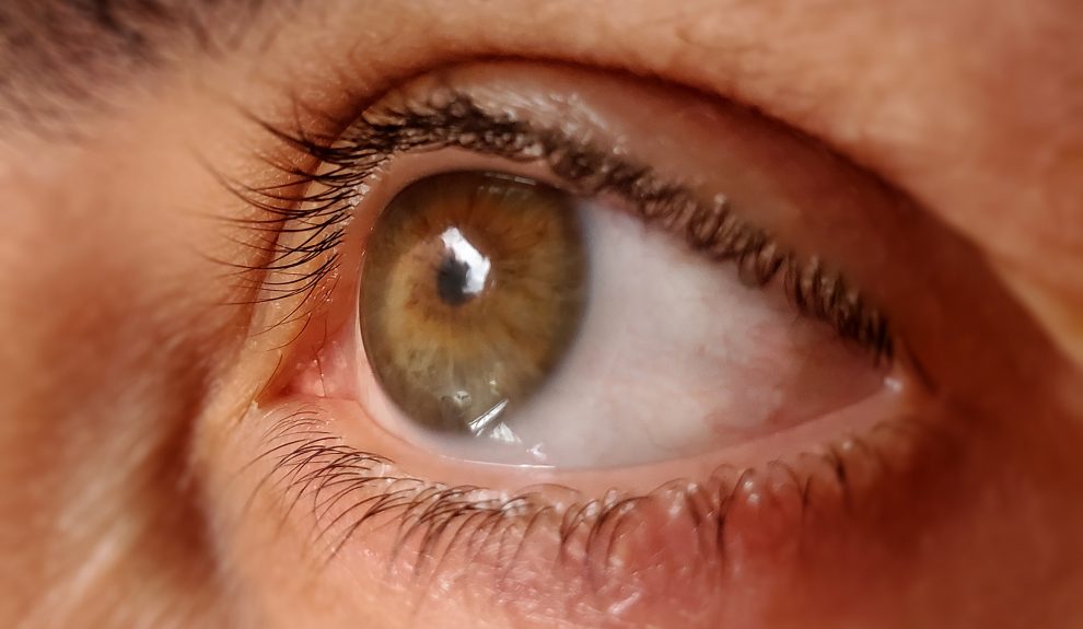 En estos días se celebra la Semana Mundial del Glaucoma | Foto: Borrón y Cuenta Nueva