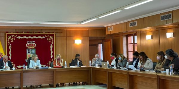 Conchi Narváez presidiendo un pleno de San Bartolomé de Tirajana