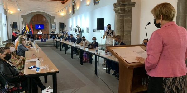 Pleno del Ayuntamiento de Telde