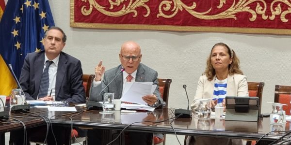 Rafael Yanes durante la presentación del informe en el Parlamento canario