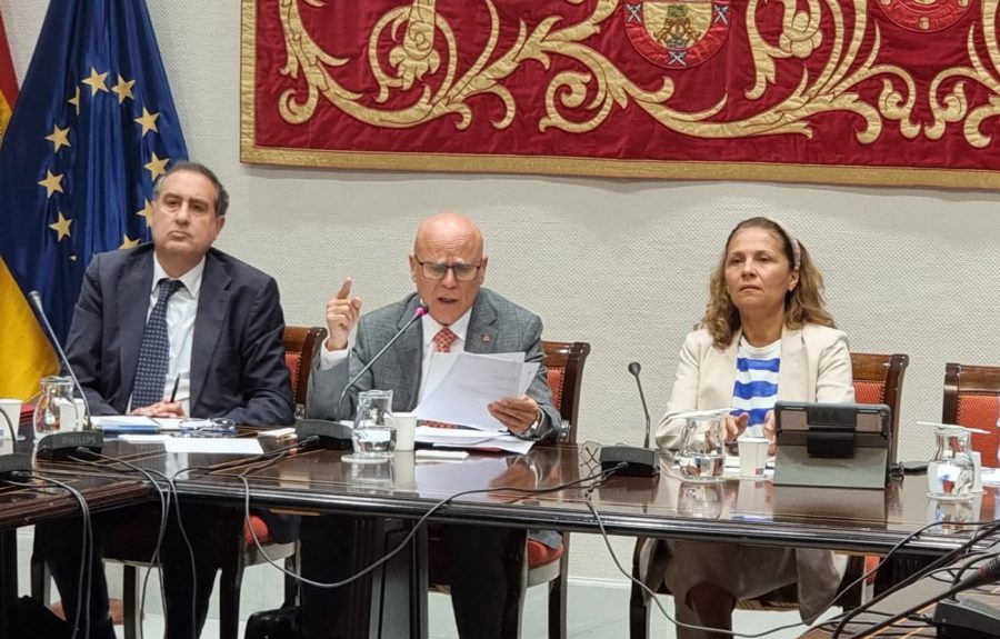 Rafael Yanes durante la presentación del informe en el Parlamento canario