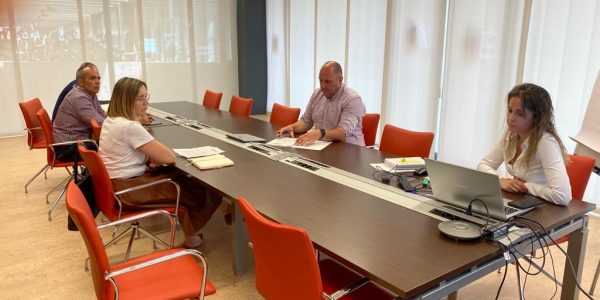 Sergio Lloret preside una reunión del Cabildo de Fuerteventura