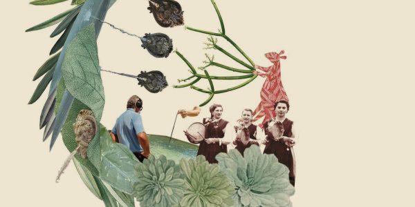 Ilustración de Kleos Guiniguada