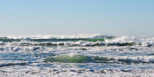 Gran Canaria será la sede del evento científico de mayor calado internacional en materia de gestión y eficiencia hídrica