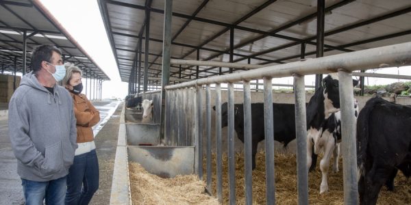 La consejera Alicia Vanoostende durante la visita a una explotación ganadera | Foto: Gobierno de Canarias